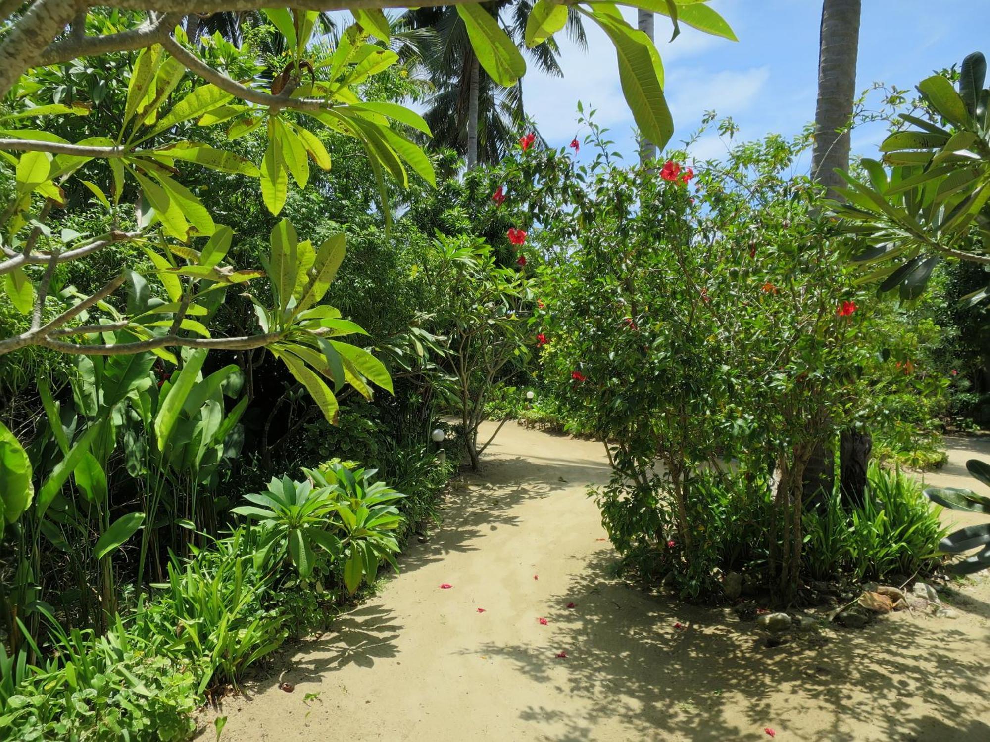 Seaflower Bungalows Srithanu Beach Camera foto